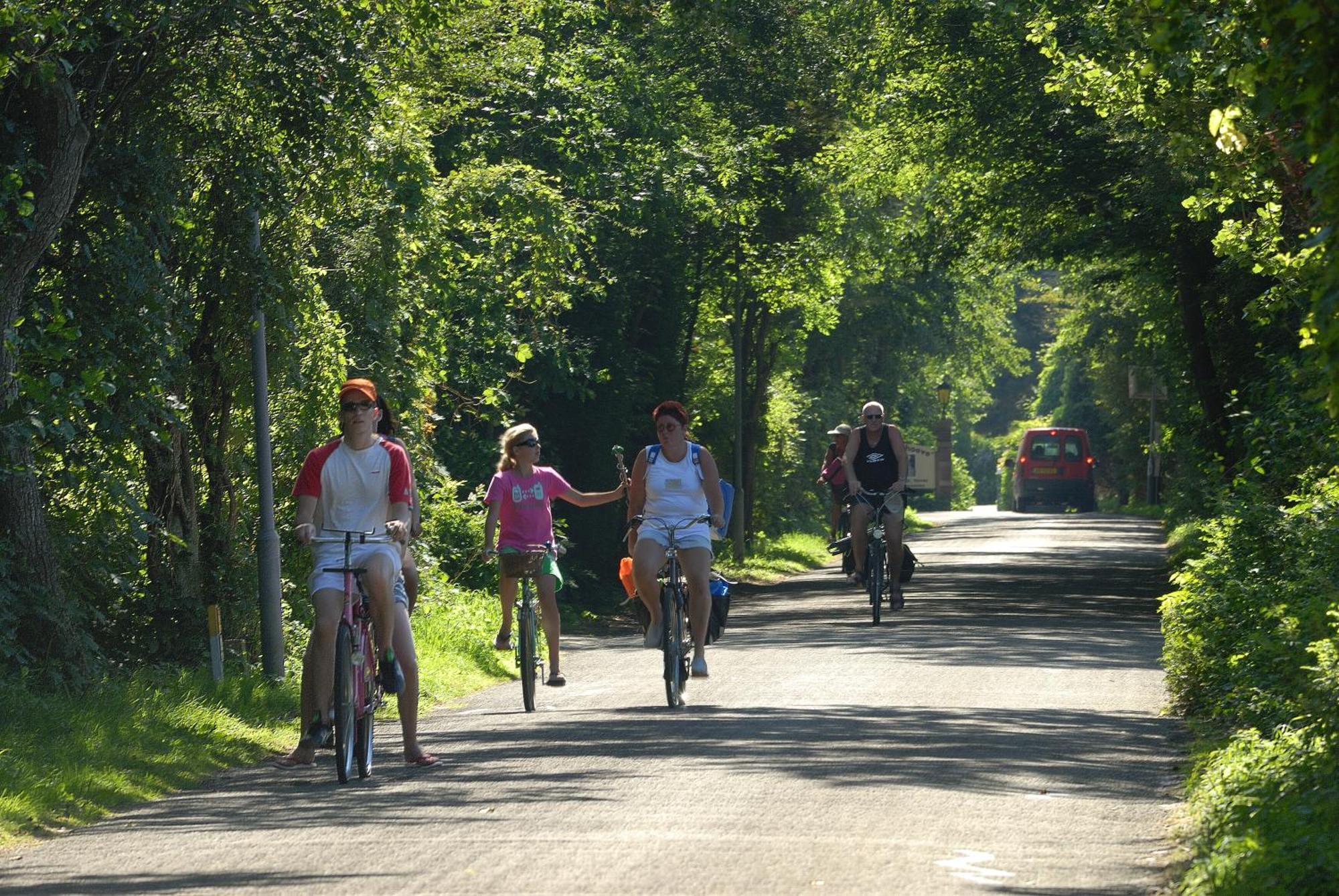 Hof Van Renesse Noordwelle Екстериор снимка